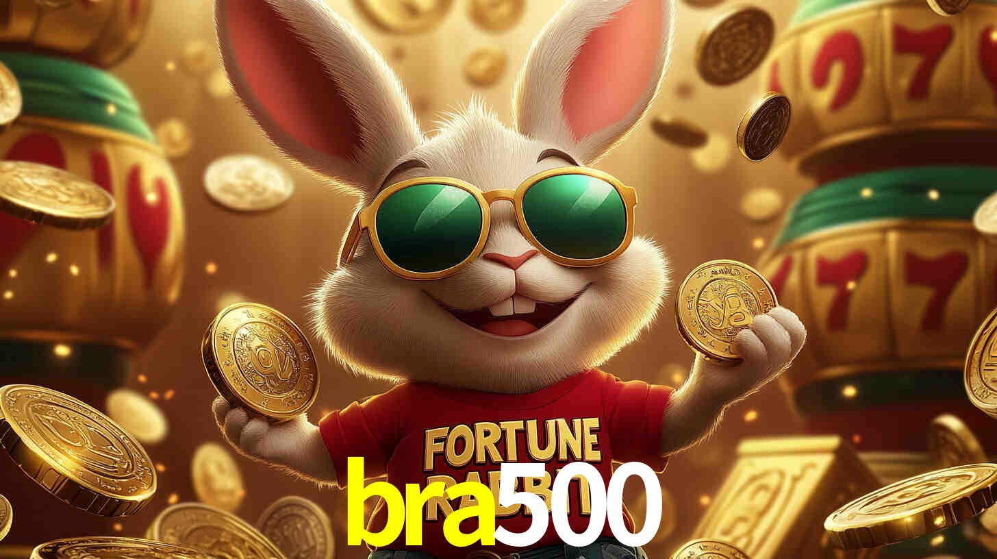 bra500