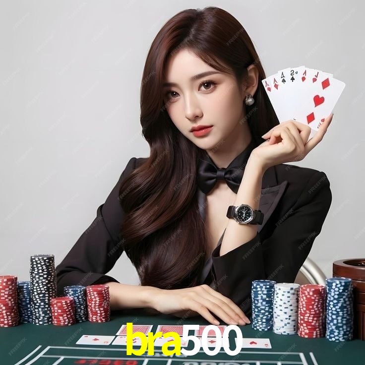 bra500 - Support